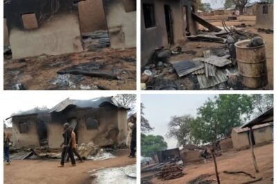 Three civilian JTF members k!lled, houses razed as Boko Haram terrorists attack Adamawa community